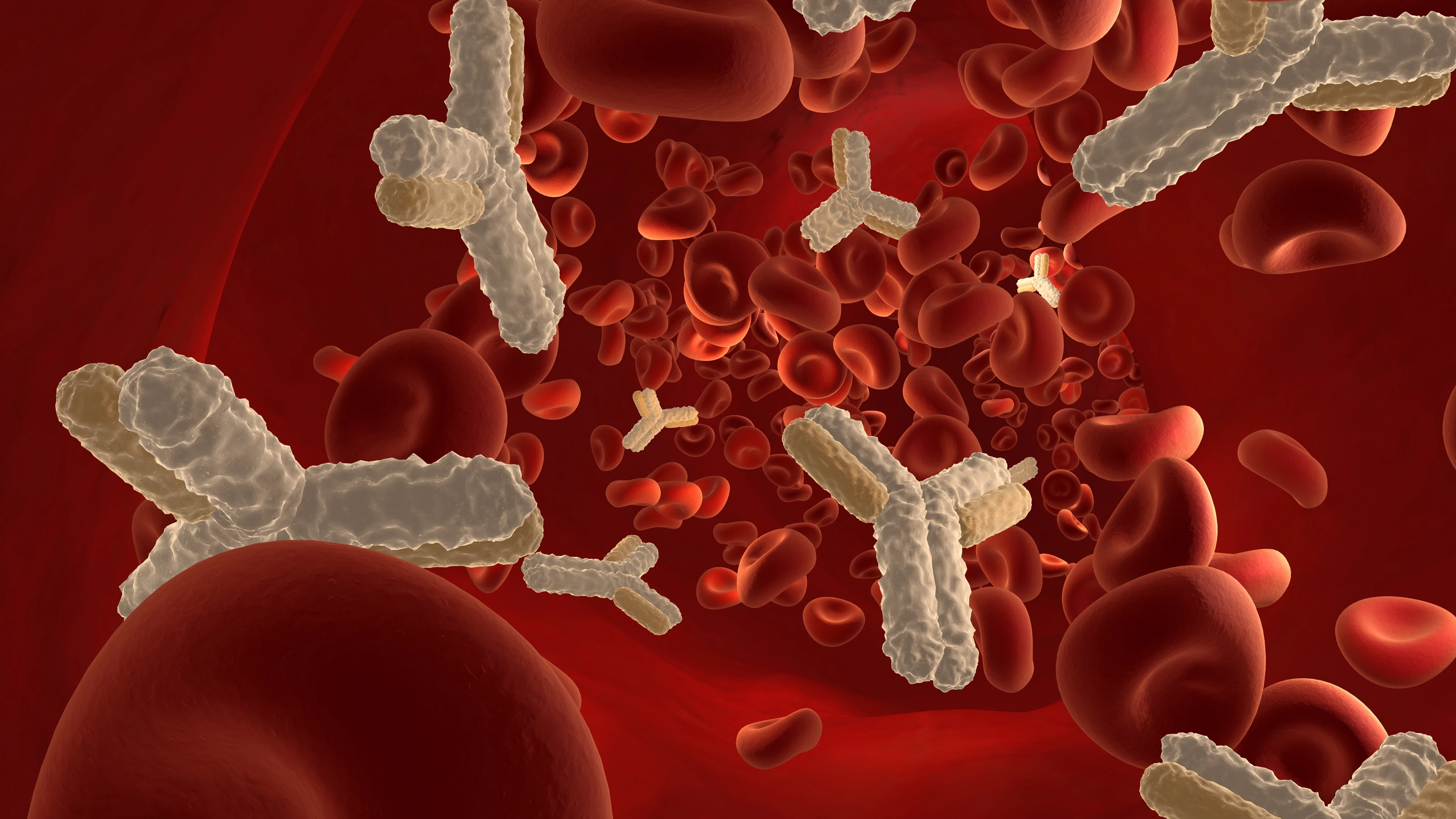 Antibodies in blood